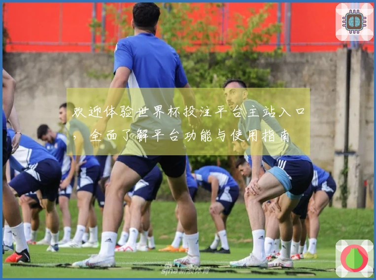 欢迎体验世界杯投注平台主站入口,全面了解平台功能与使用指南
