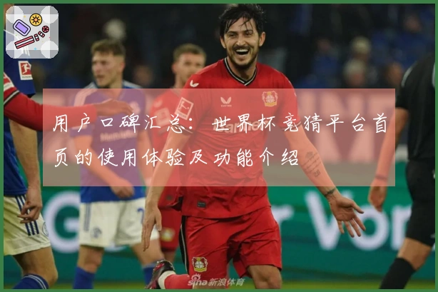 用户口碑汇总:世界杯竞猜平台首页的使用体验及功能介绍