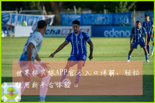 世界杯买球APP官方入口详解，轻松使用新平台体验