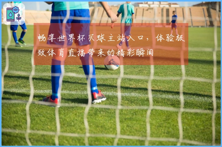 畅享世界杯买球主站入口,体验极致体育直播带来的精彩瞬间