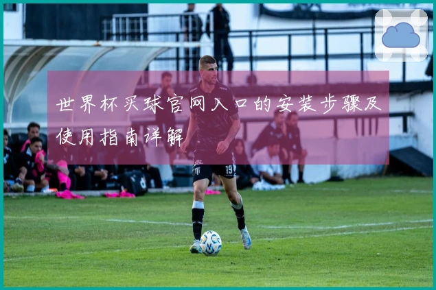 世界杯买球官网入口的安装步骤及使用指南详解