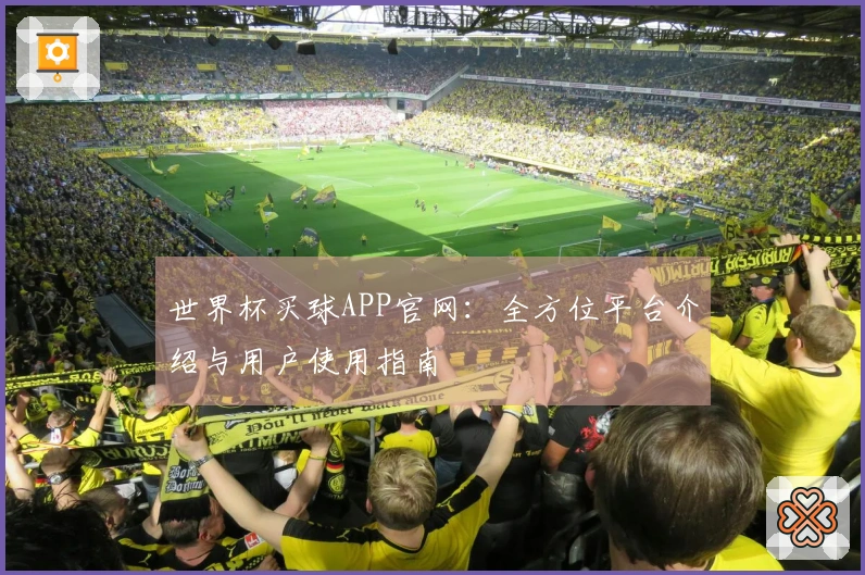 世界杯买球APP官网：全方位平台介绍与用户使用指南