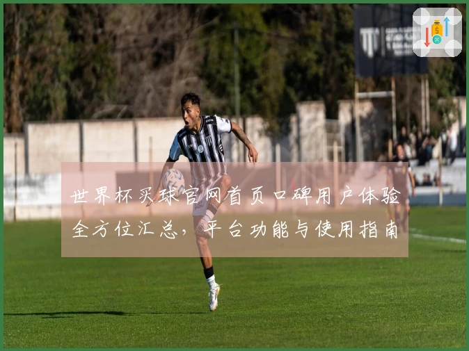 世界杯买球官网首页口碑用户体验全方位汇总，平台功能与使用指南一站式呈现