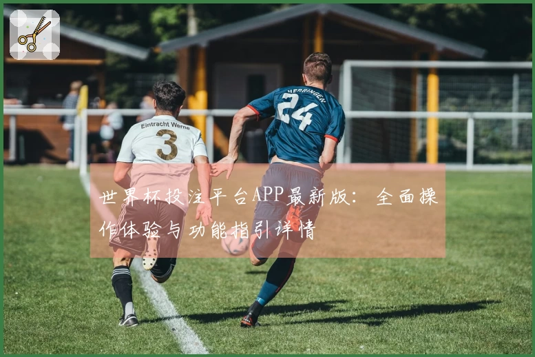 世界杯投注平台APP最新版：全面操作体验与功能指引详情