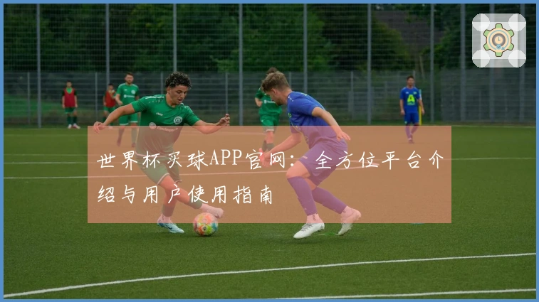 世界杯买球APP官网：全方位平台介绍与用户使用指南