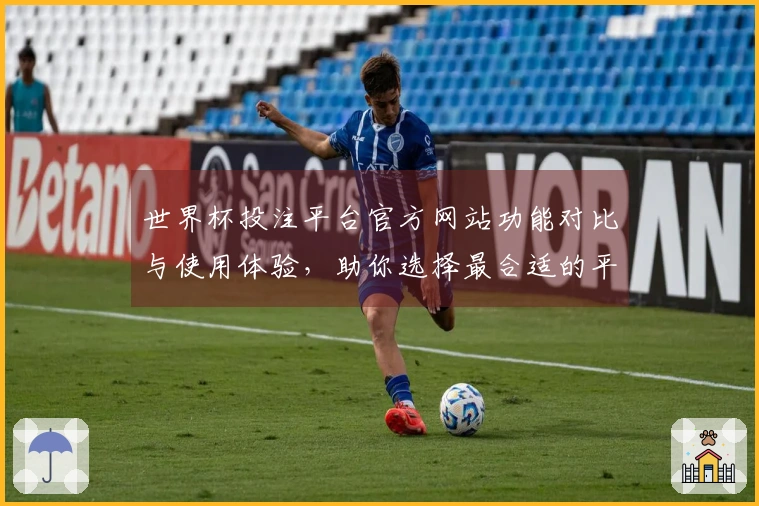 世界杯投注平台官方网站功能对比与使用体验，助你选择最合适的平台