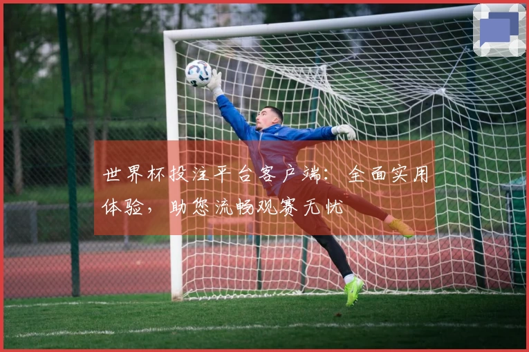 世界杯投注平台客户端：全面实用体验，助您流畅观赛无忧