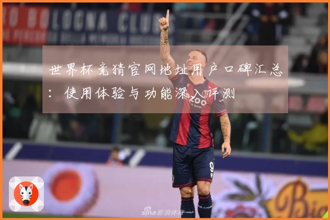 世界杯竞猜官网地址用户口碑汇总：使用体验与功能深入评测