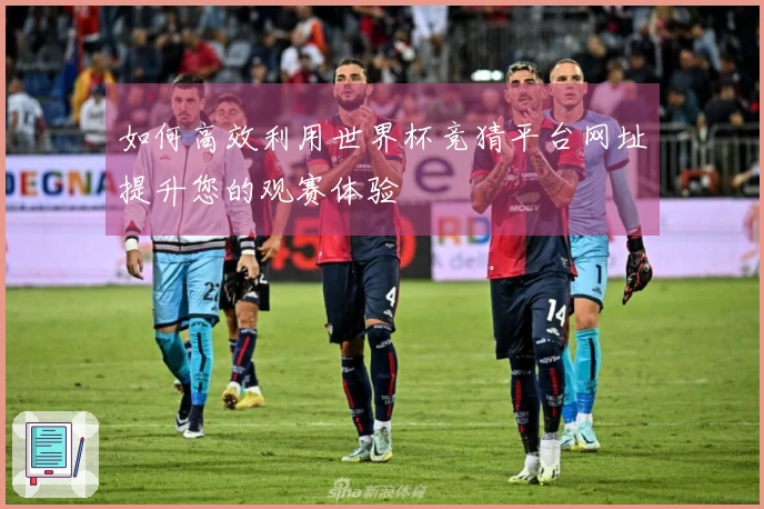 如何高效利用世界杯竞猜平台网址提升您的观赛体验