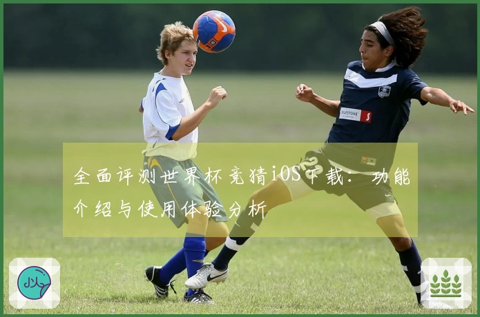 全面评测世界杯竞猜iOS下载:功能介绍与使用体验分析