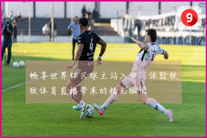 畅享世界杯买球主站入口，体验极致体育直播带来的精彩瞬间